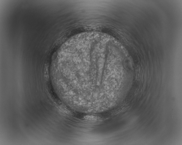 X0000073840699200609071541