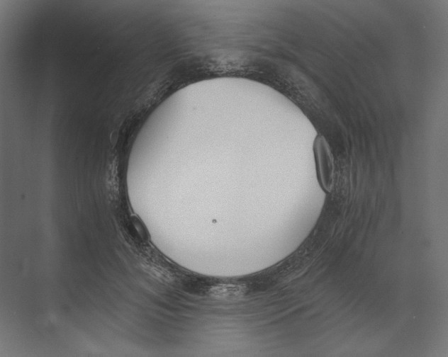 X0000073840700200609071541