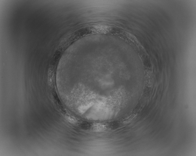 X0000073840701200609071541