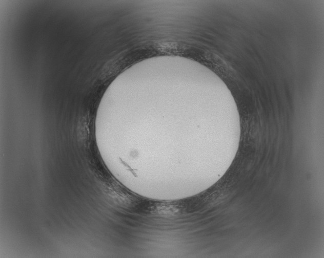 X0000073840702200609071541