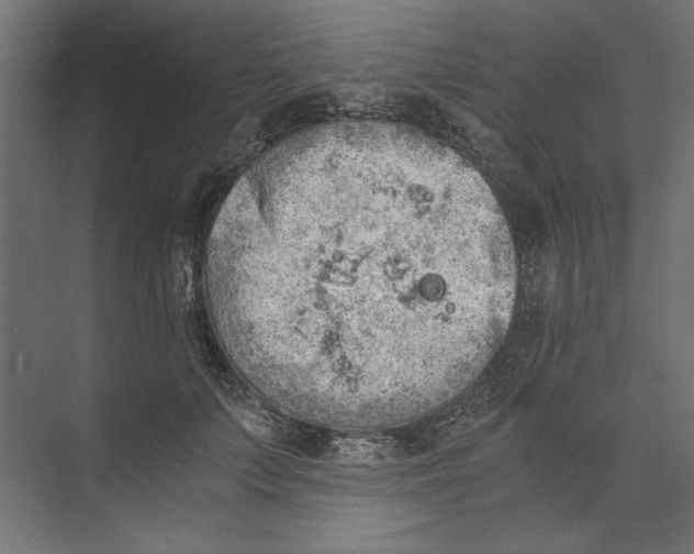 X0000073840703200609071541