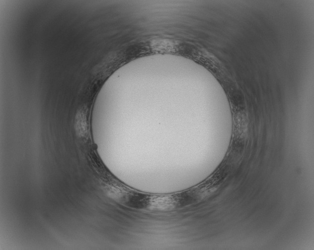 X0000073840705200609071541