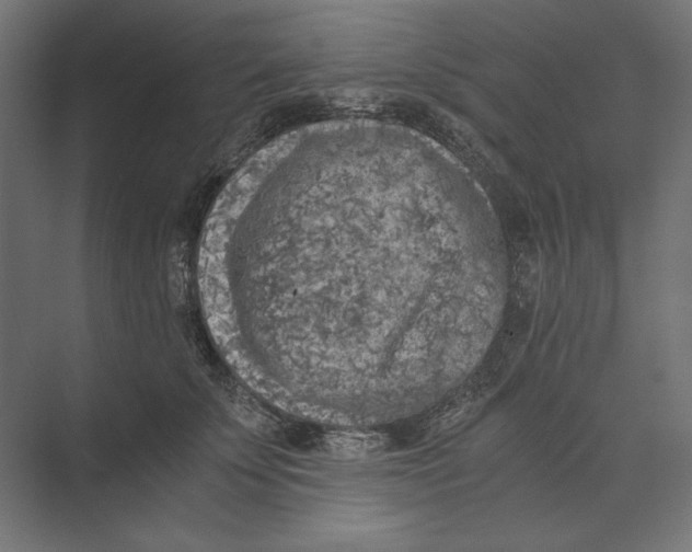 X0000073840707200609071541