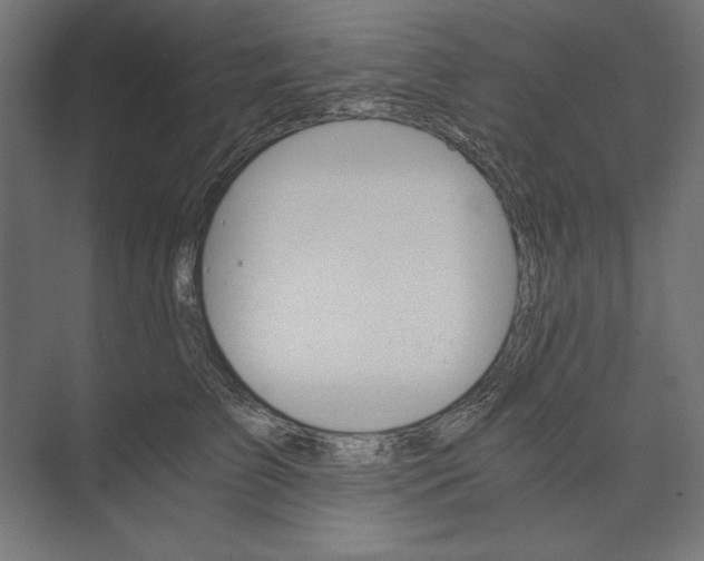 X0000073840709200609071541