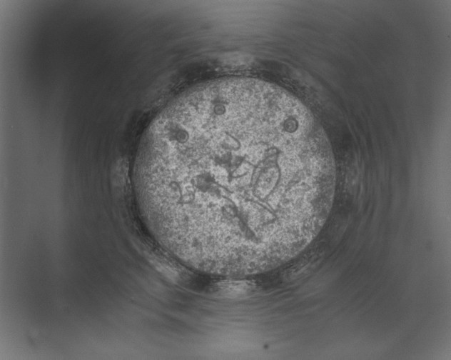 X0000073840711200609071541