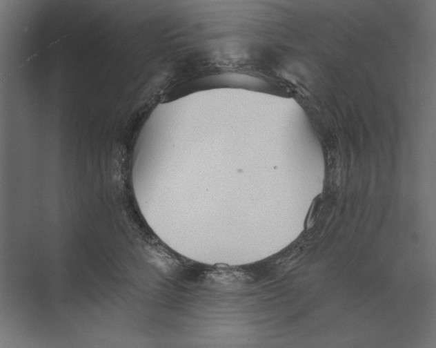 X0000073840712200609071541