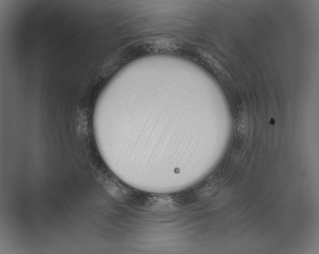 X0000073840715200609071541