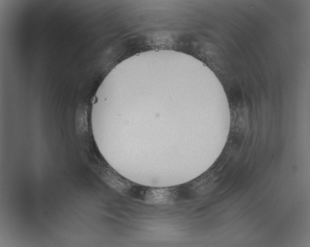 X0000073840717200609071541