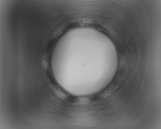 X0000073840719200609071541