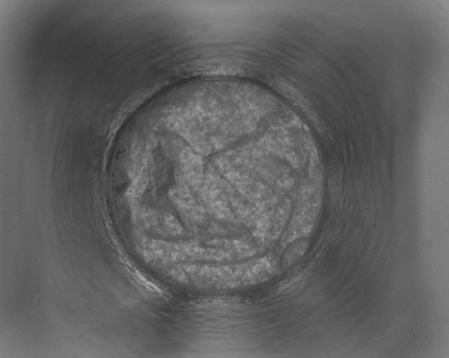 X0000073840721200609071540