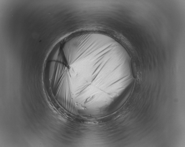 X0000073840724200609071540