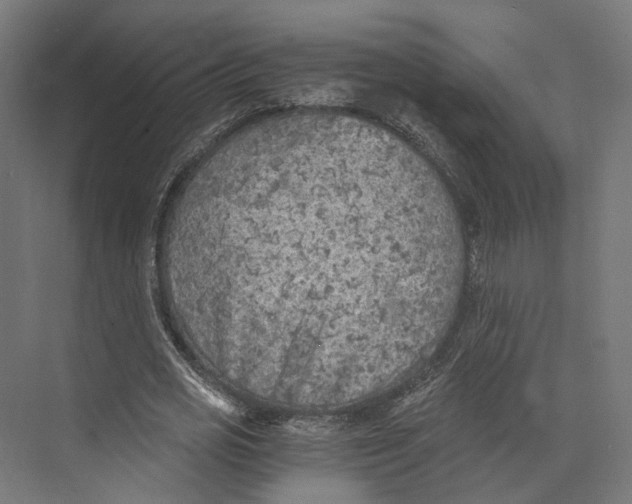 X0000073840725200609071540