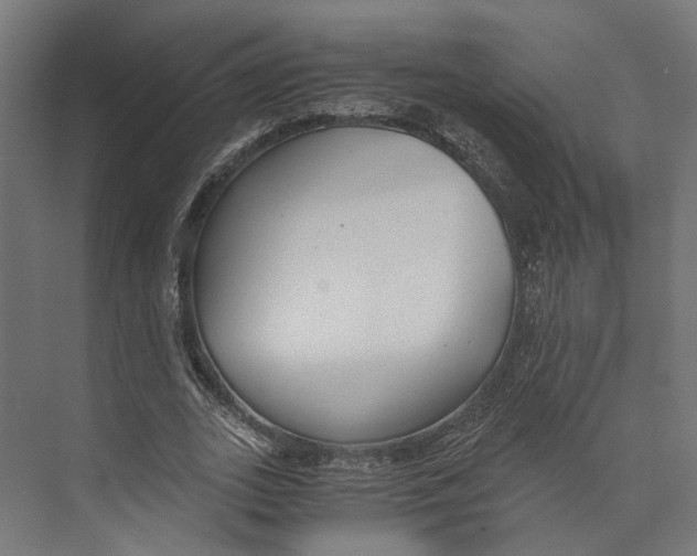 X0000073840727200609071540