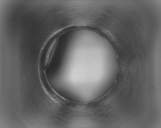 X0000073840728200609071540