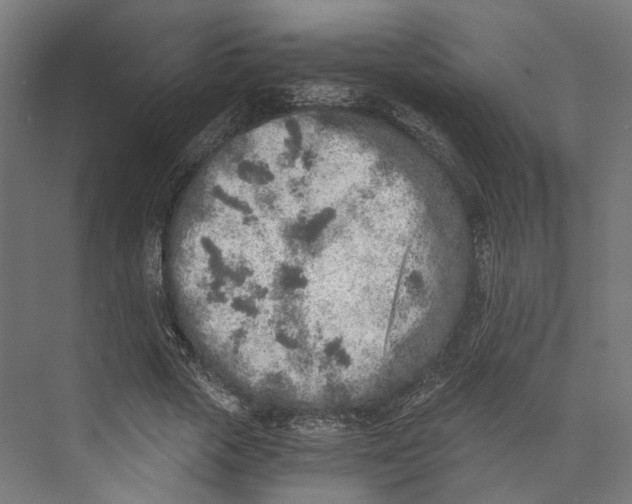 X0000073840729200609071540