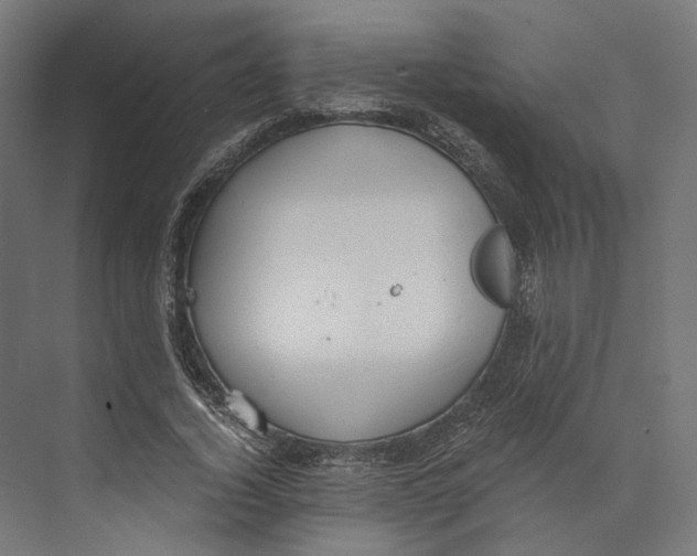 X0000073840732200609071540