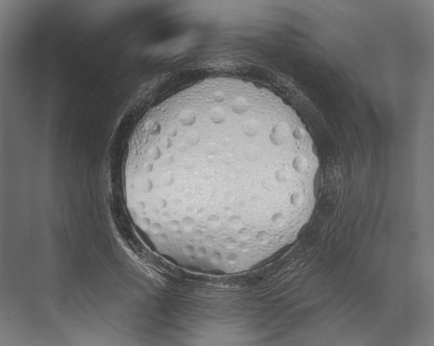 X0000073840734200609071540