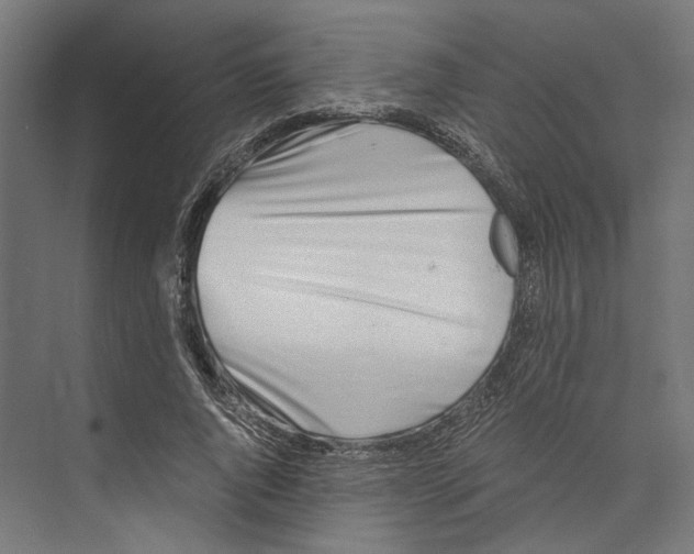 X0000073840736200609071540