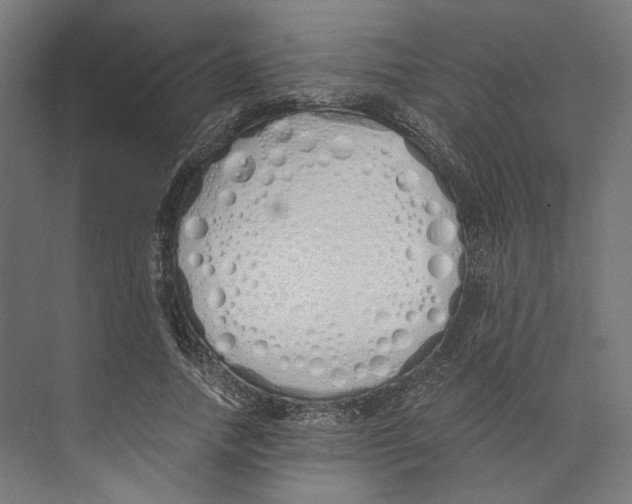 X0000073840738200609071540