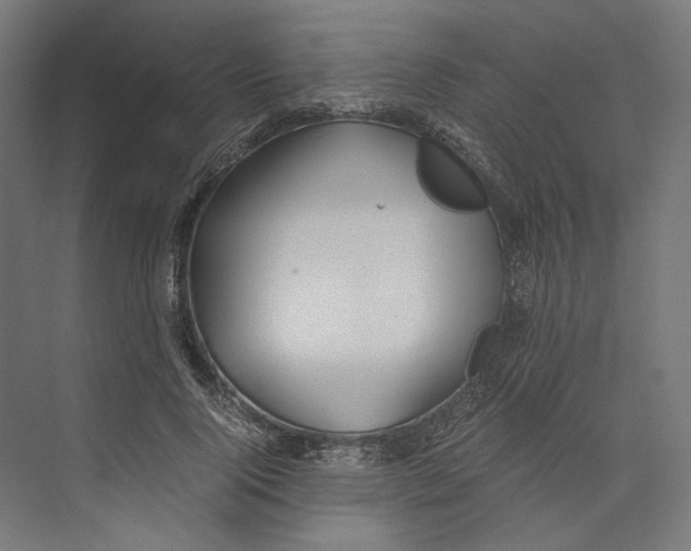 X0000073840740200609071540