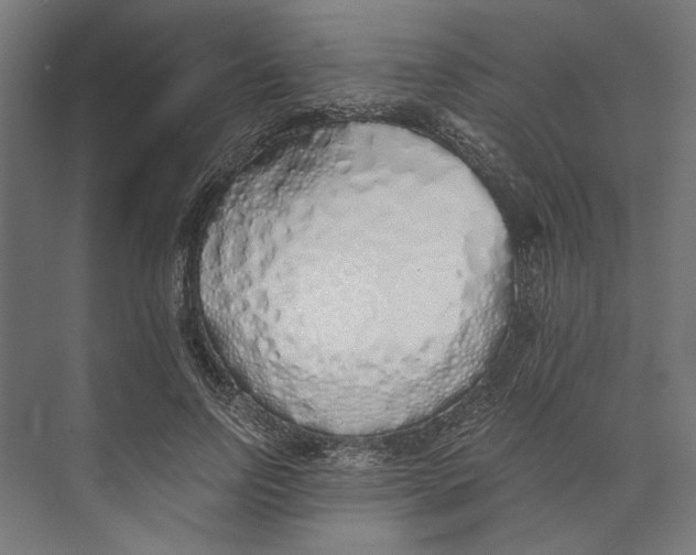 X0000073840742200609071540