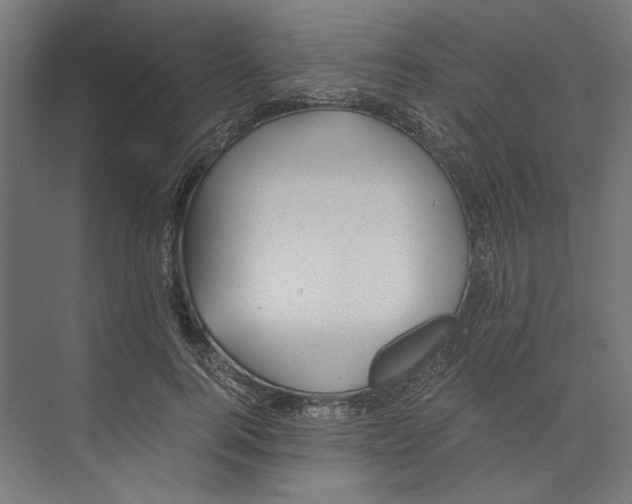 X0000073840744200609071540