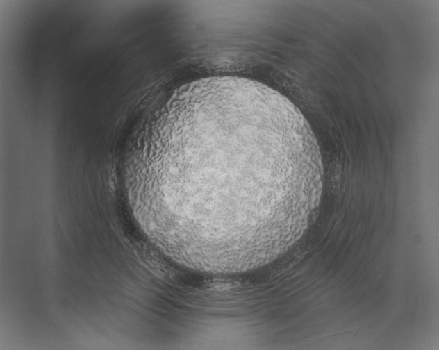 X0000073840746200609071540