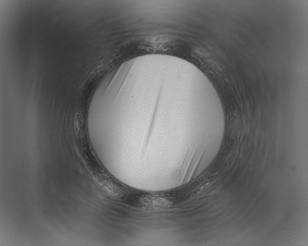 X0000073840747200609071540