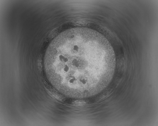 X0000073840749200609071540