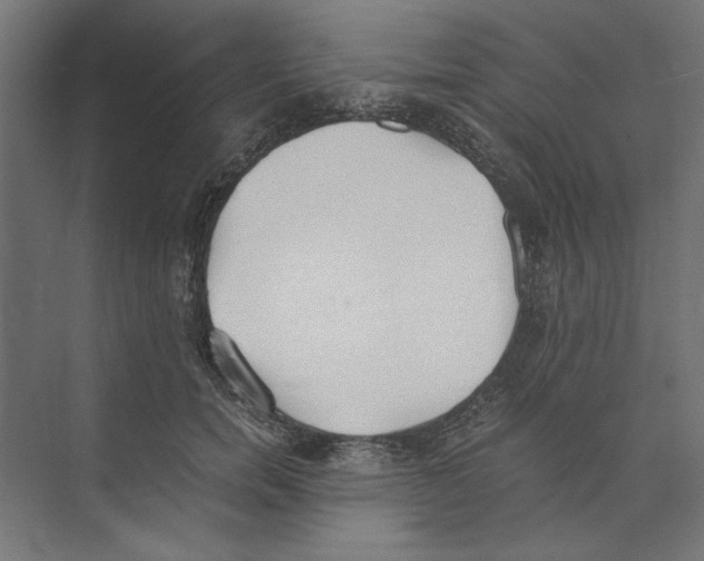 X0000073840750200609071540