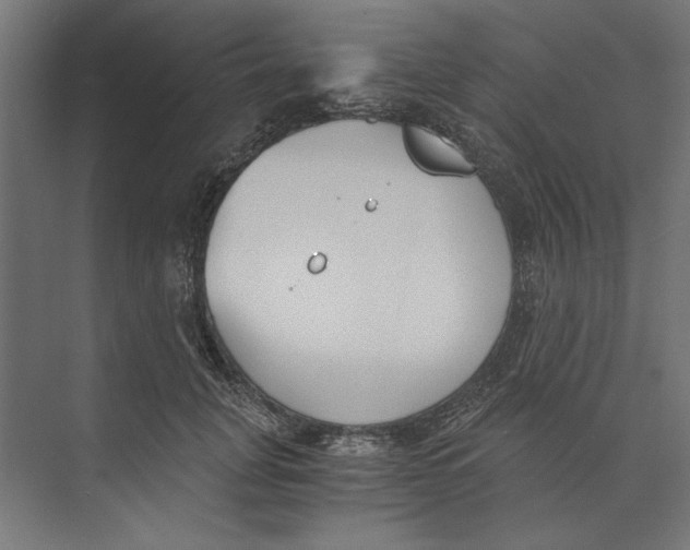 X0000073840751200609071540