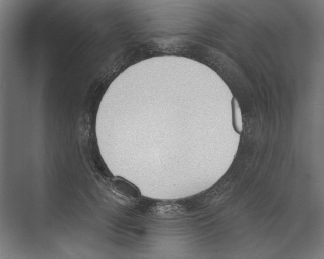 X0000073840752200609071540