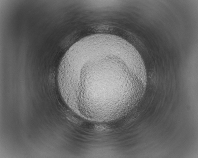 X0000073840753200609071540