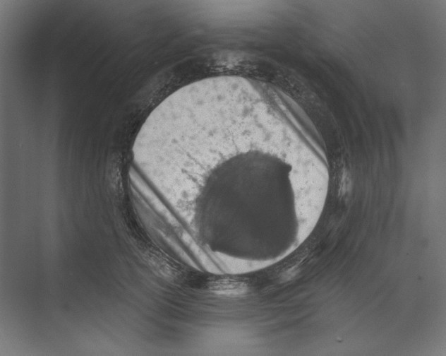 X0000073840754200609071541