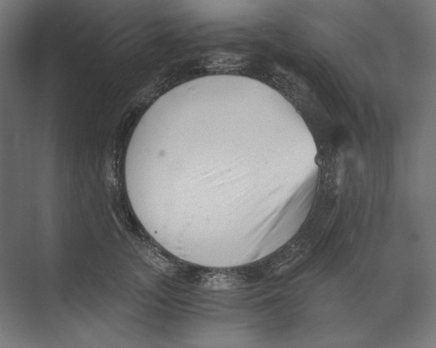 X0000073840755200609071541