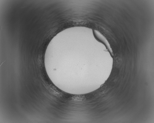 X0000073840756200609071541