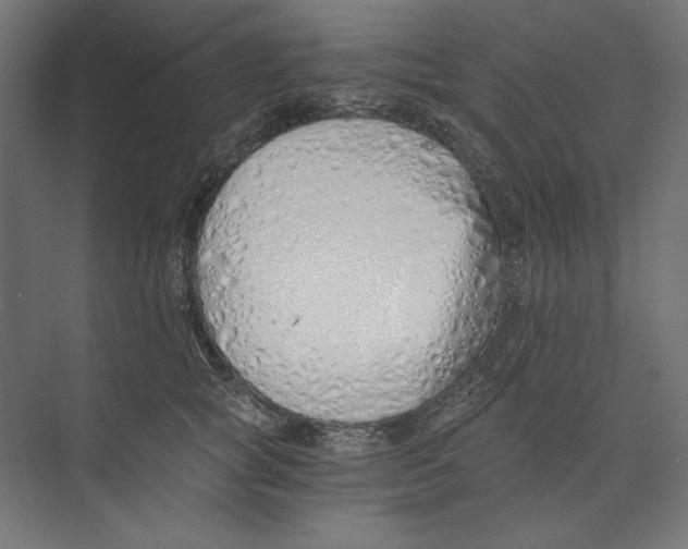 X0000073840757200609071541