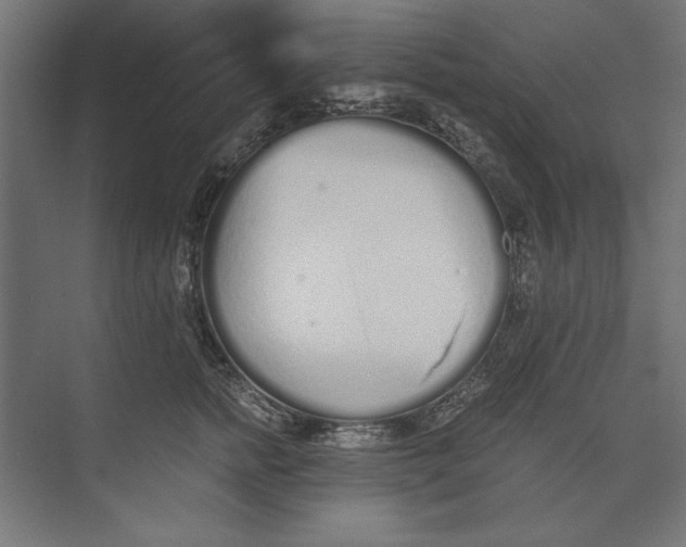 X0000073840758200609071541