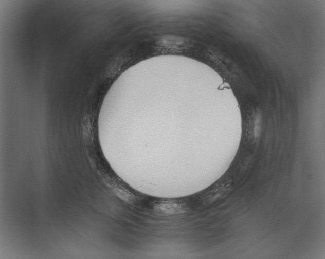 X0000073840759200609071541