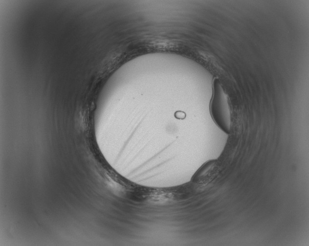 X0000073840760200609071541