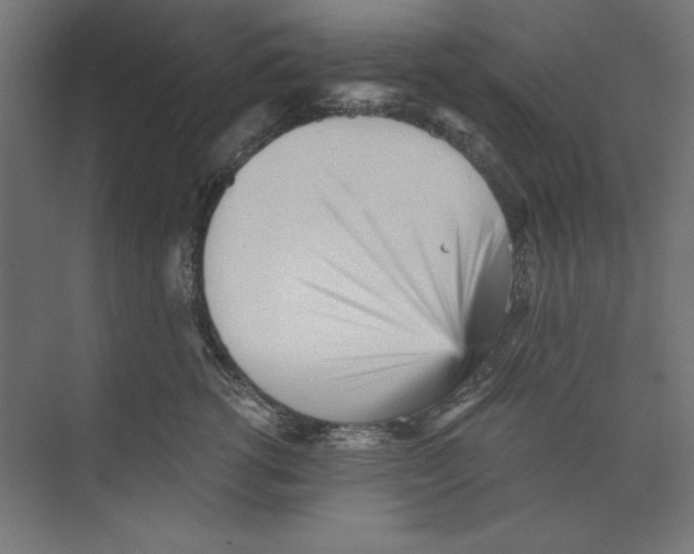 X0000073840762200609071541