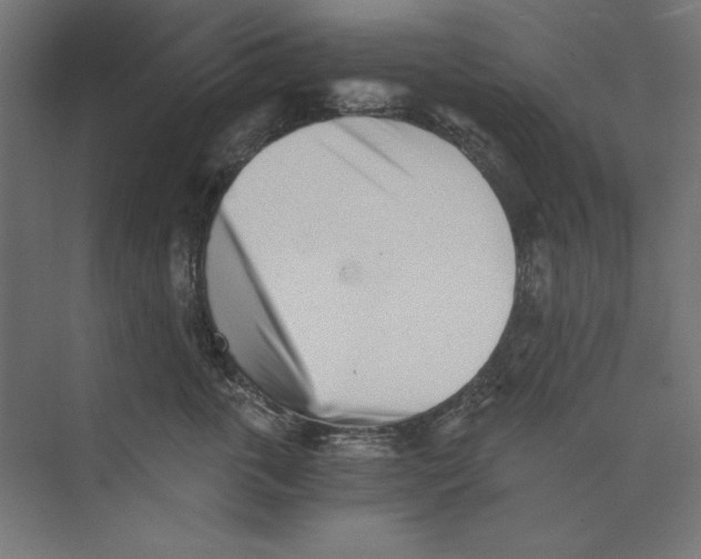 X0000073840763200609071541