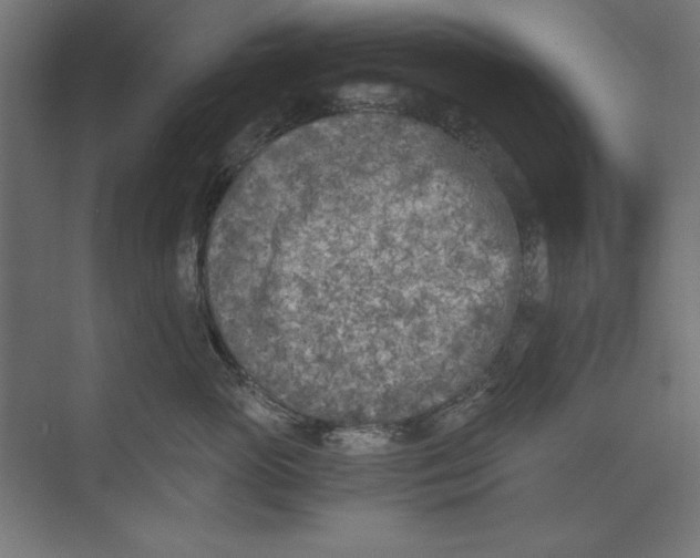 X0000073840765200609071541