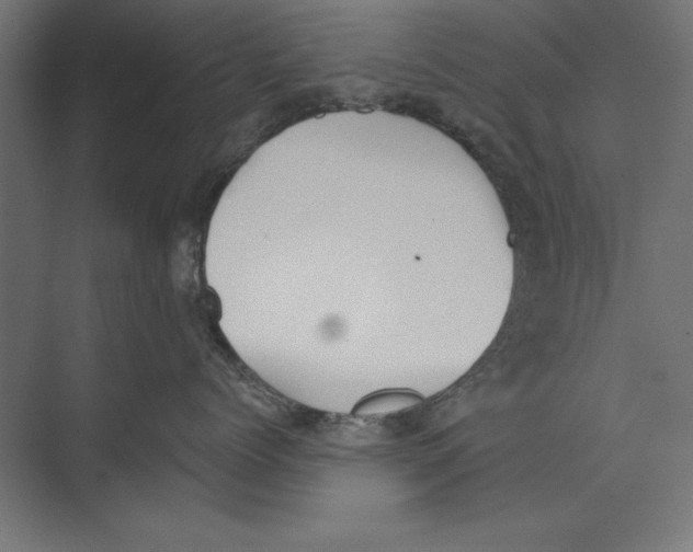 X0000073840768200609071541