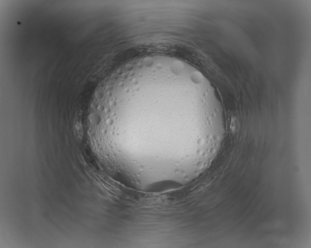 X0000073840771200609071540