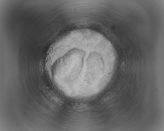 X0000073840772200609071540