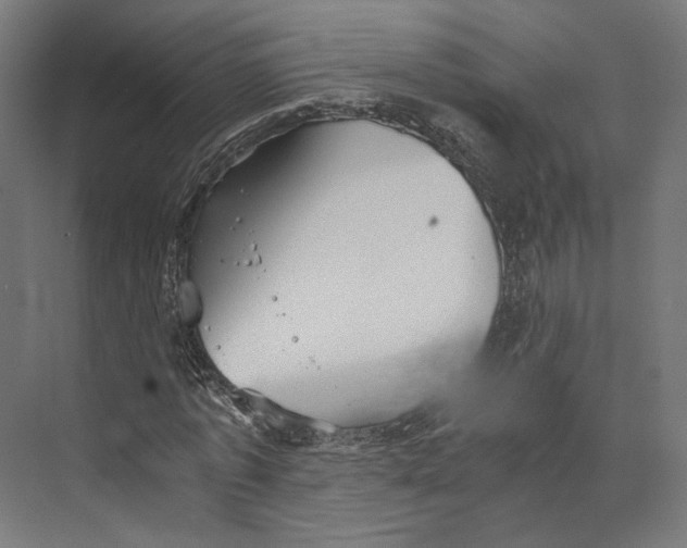 X0000073840773200609071540