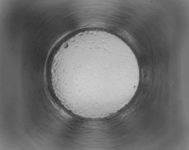 X0000073840780200609071540