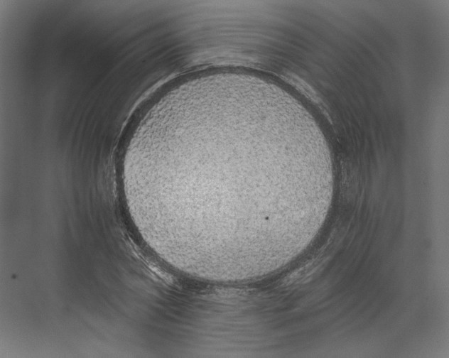 X0000073840782200609071540