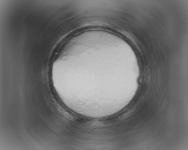 X0000073840783200609071540